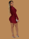 BURGUNDY LONG SLEEVE MINI DRESS