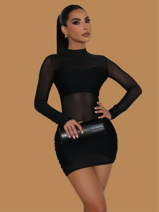 SHEER MESH LONG SLEEVE MINI DRESS