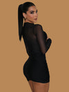 SHEER MESH LONG SLEEVE MINI DRESS