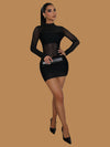 SHEER MESH LONG SLEEVE MINI DRESS