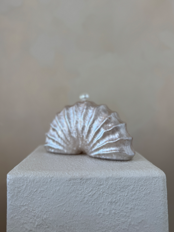 SHELL ACRYLIC CLUTCH BAG